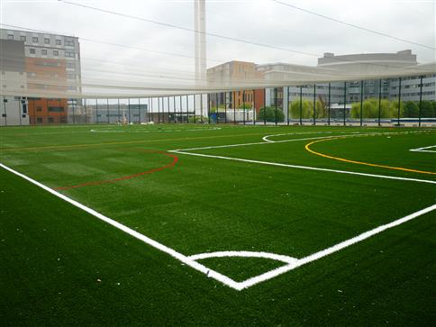 3G Sports Surface